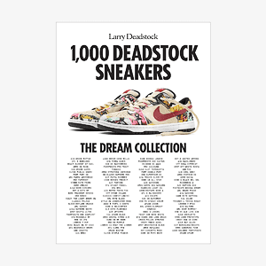 Книга 1000 Deadstock Sneakers: The Dream Collection(Abrams Books)